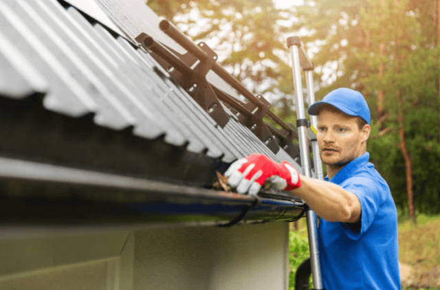 bellingham gutter service